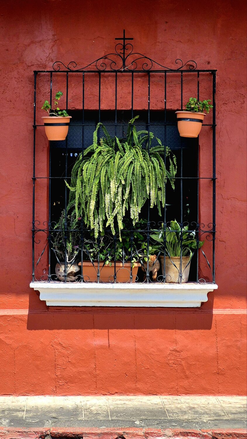 The Crimson Window of Antigua