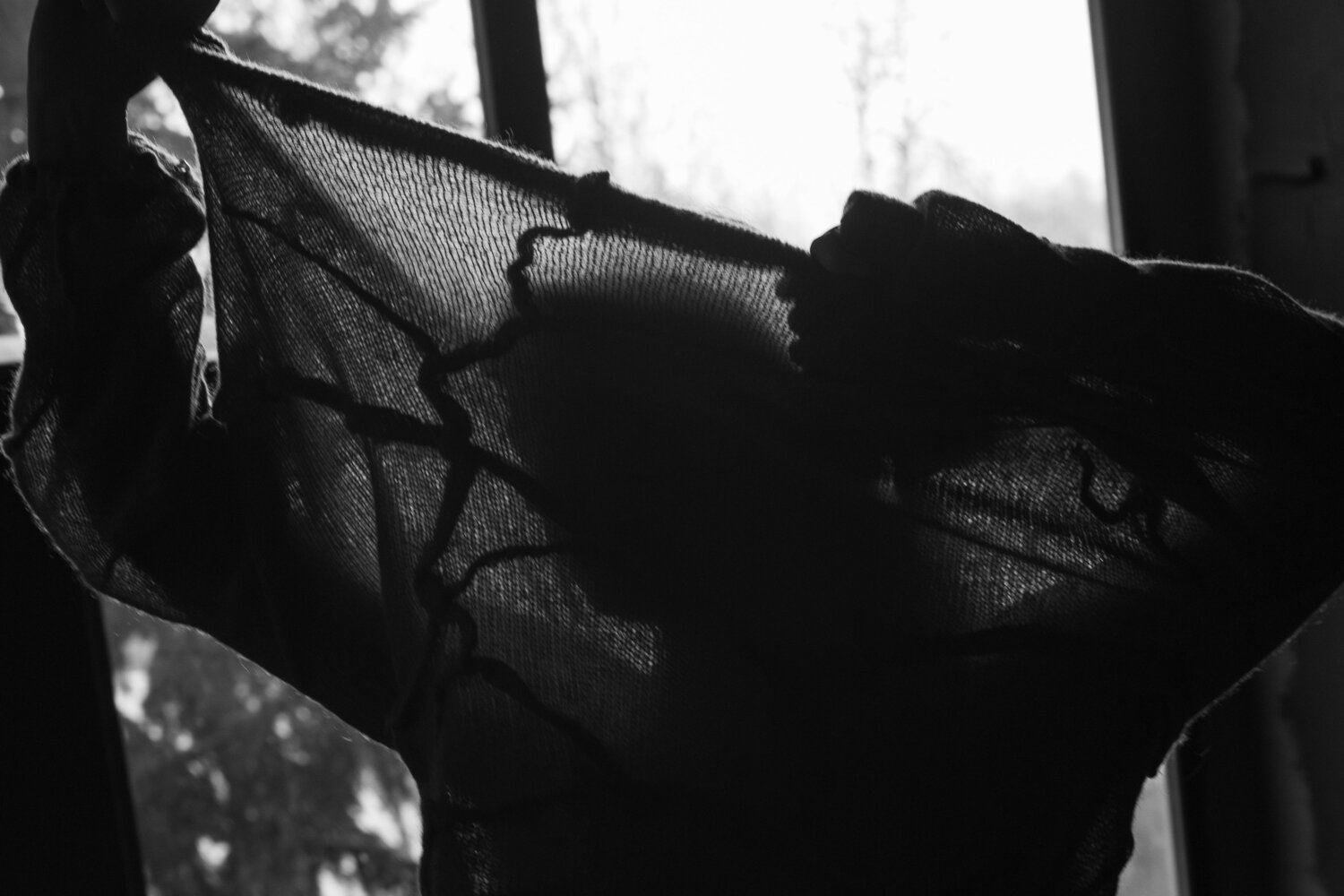 Photo #13921964