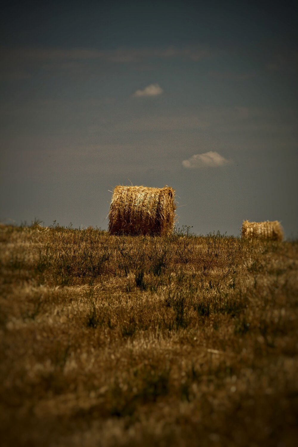 Silent Gold