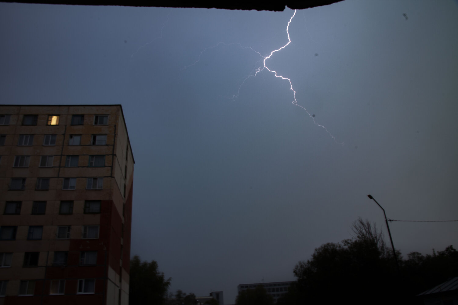 Photo #13922061