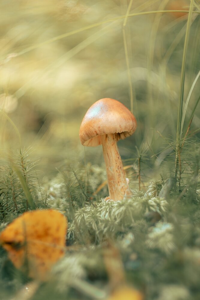 Фотография автора Белокуров Сергей