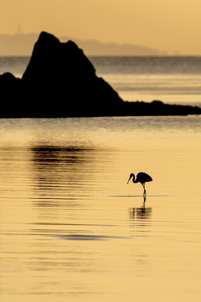 Photograph by Oka Naoki
