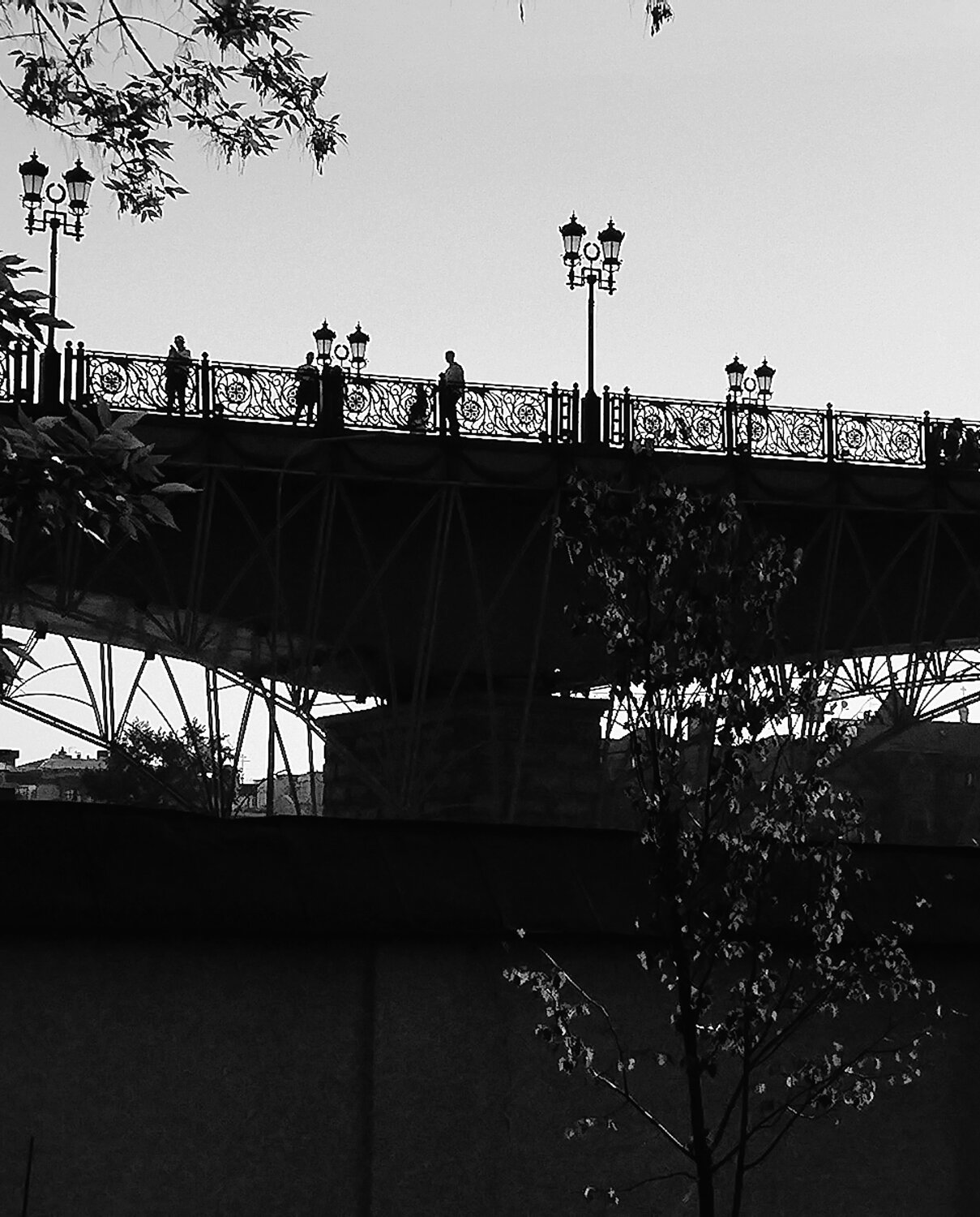 Photo #13922197