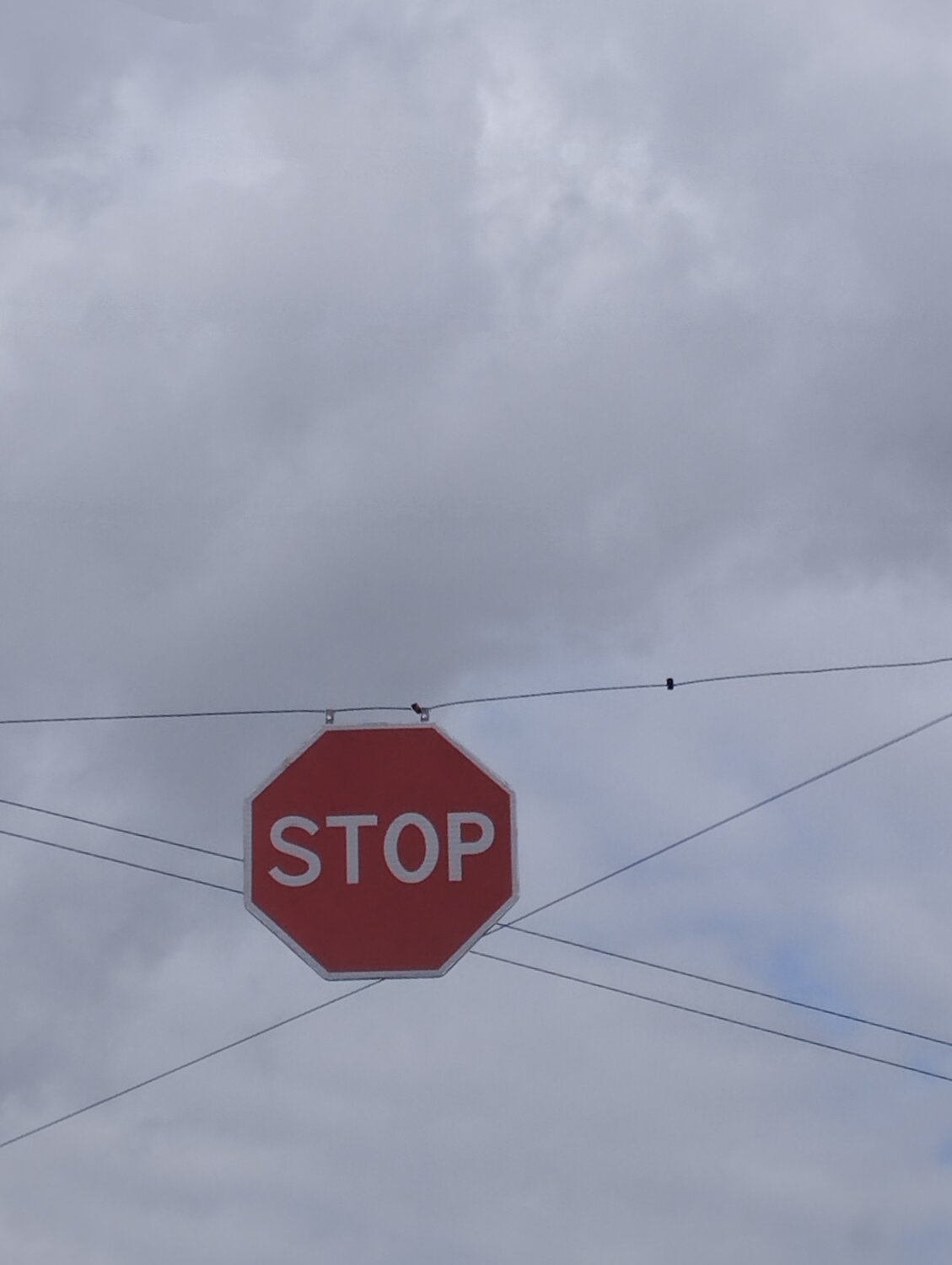 Photo #13922260