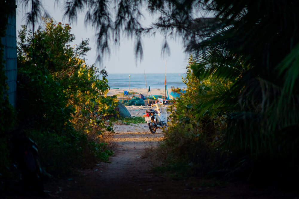 Photograph by Francis Khanh