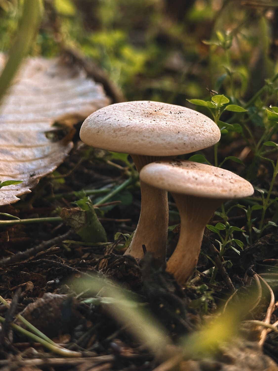 Photo #13922341