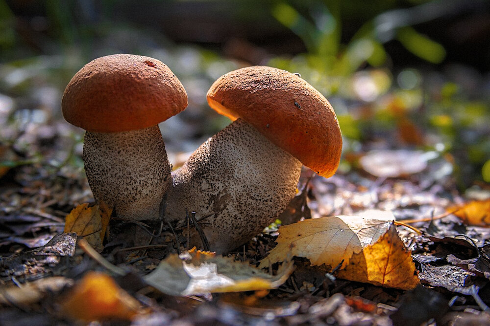 Photograph by Евгений Ерохин
