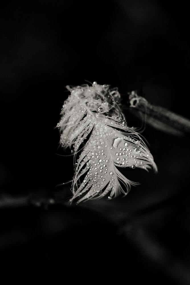 Photograph by Elena Mironova