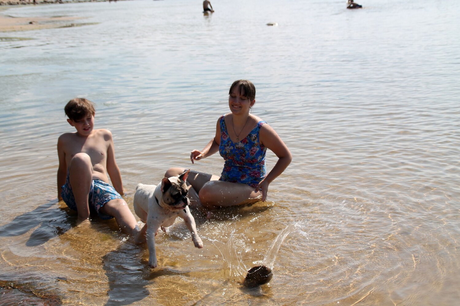 Photo #13922695