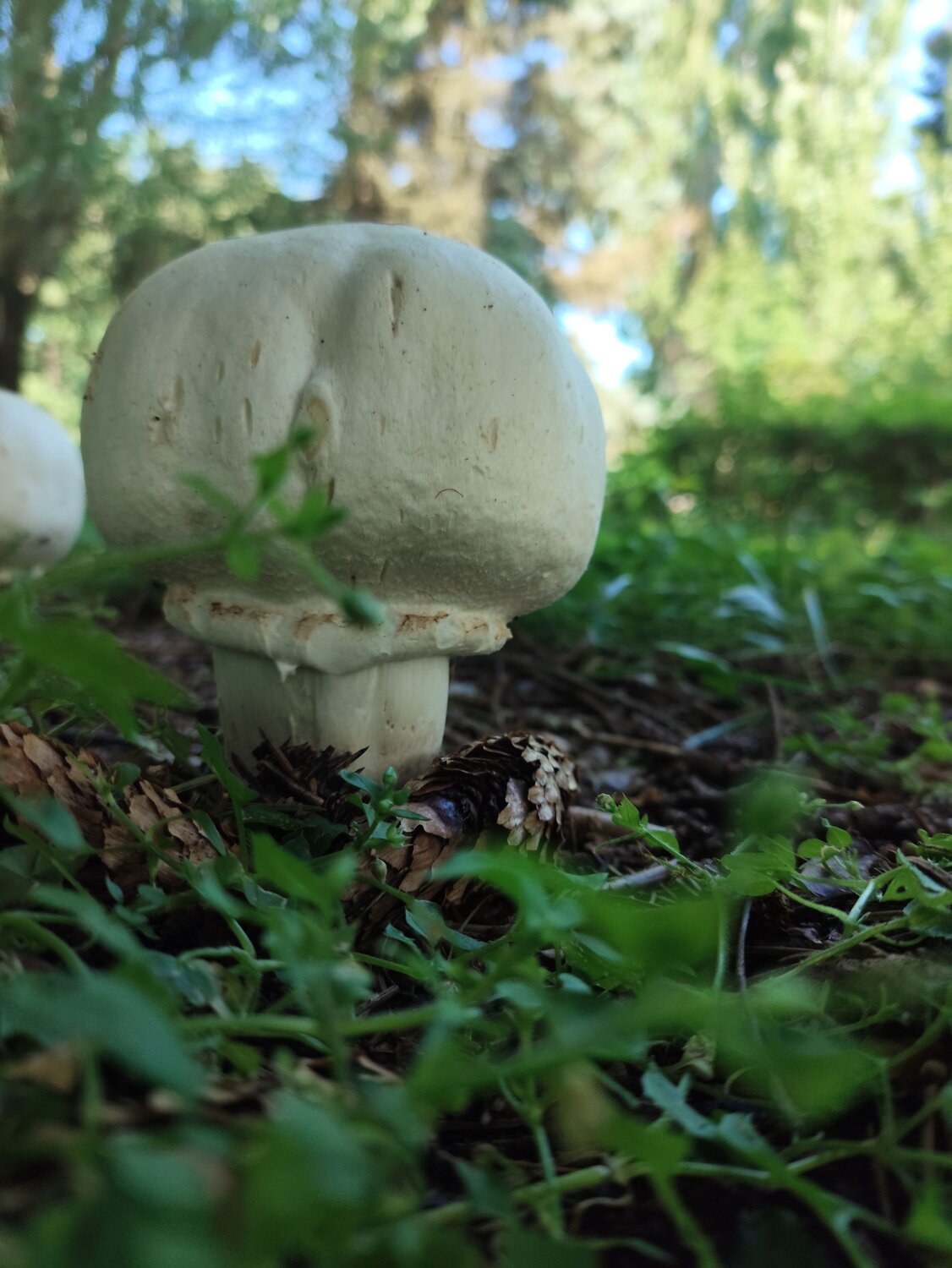 Photo #13922855