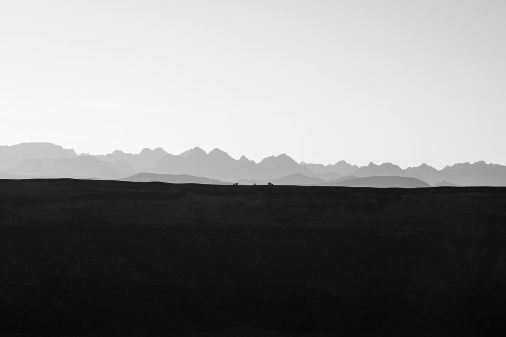 Photograph by Brian Robinson