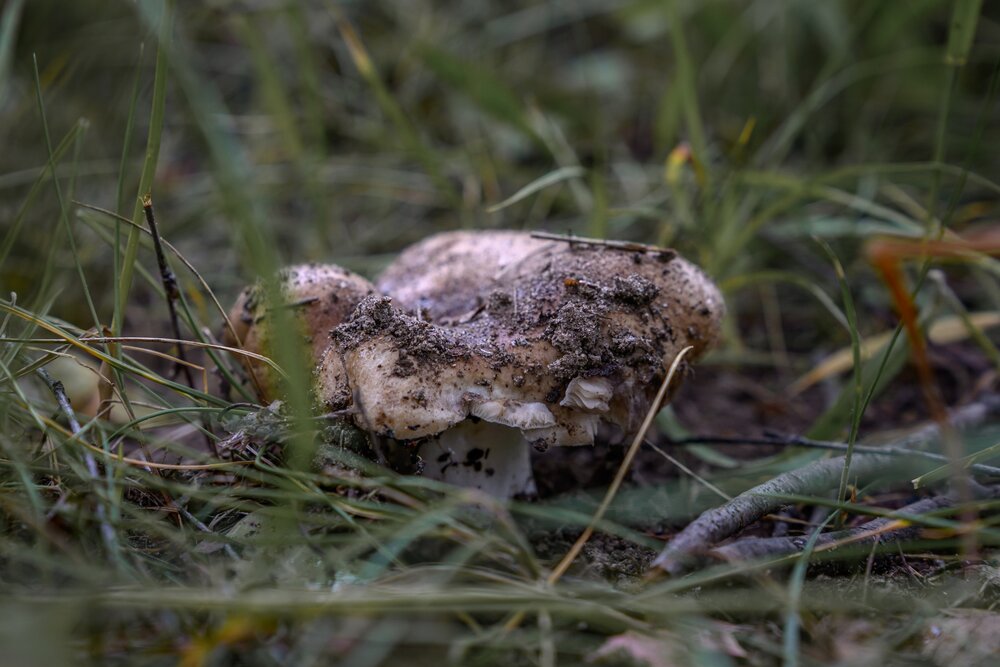 Photograph by Демьян Лопатов