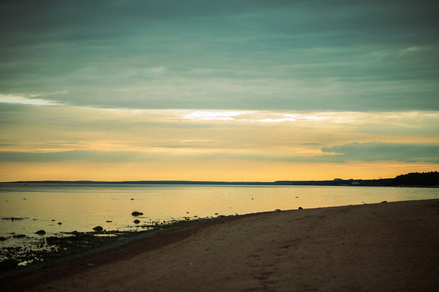 Photo #13923049