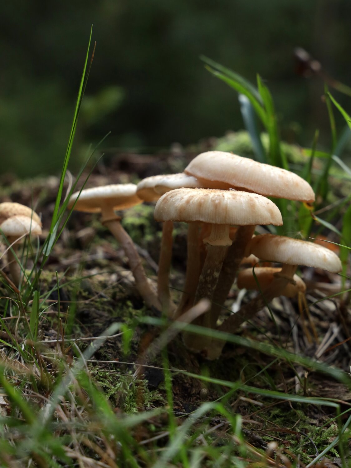 Photo #13923104