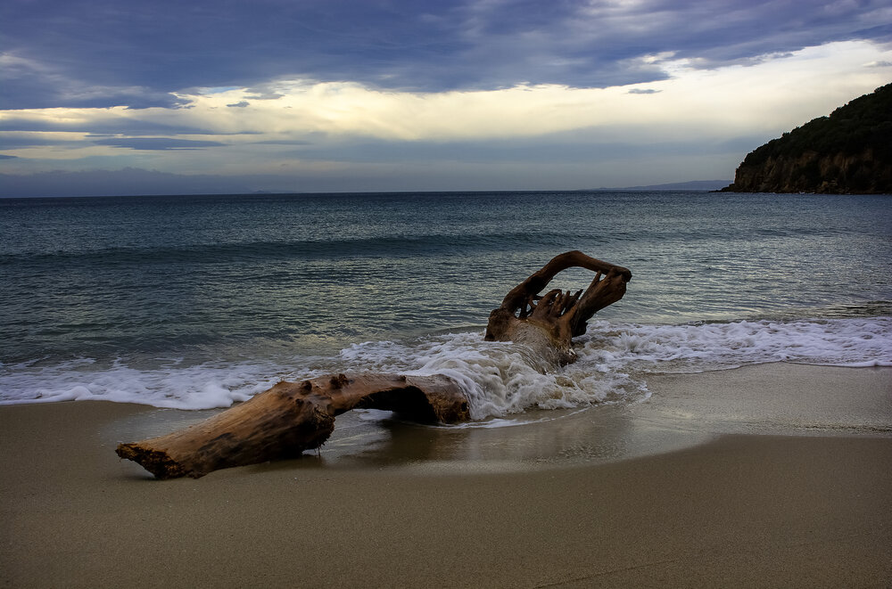 Photograph by Adriano Mugnaini