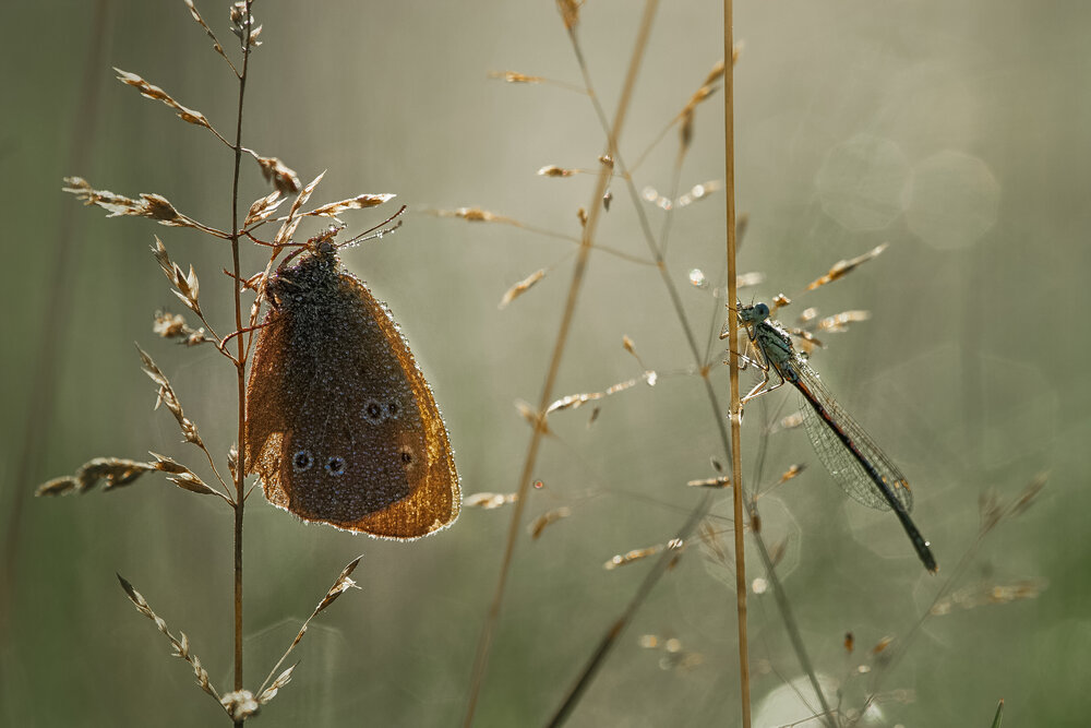 Photograph by Онучина Юлия