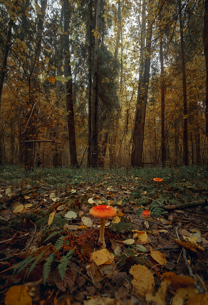 Photograph by Онучина Юлия