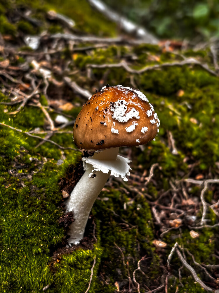 Photograph by Юлия Куклина