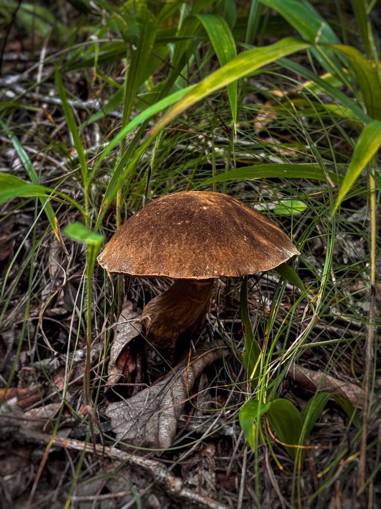 Photograph by Юлия Куклина