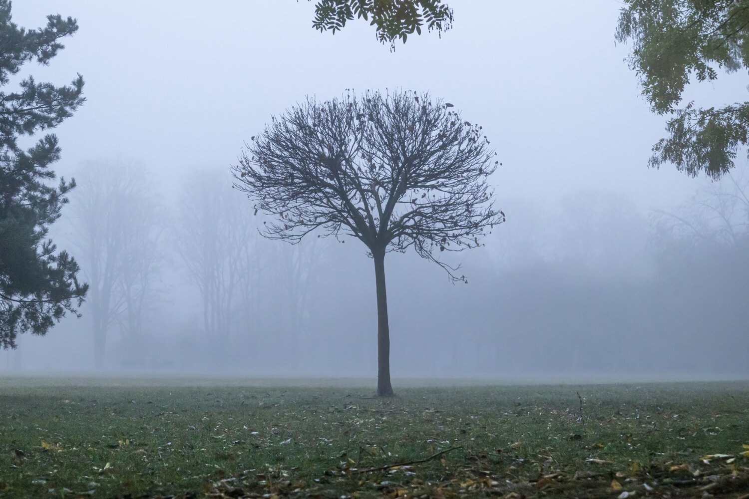 Photo #13923343