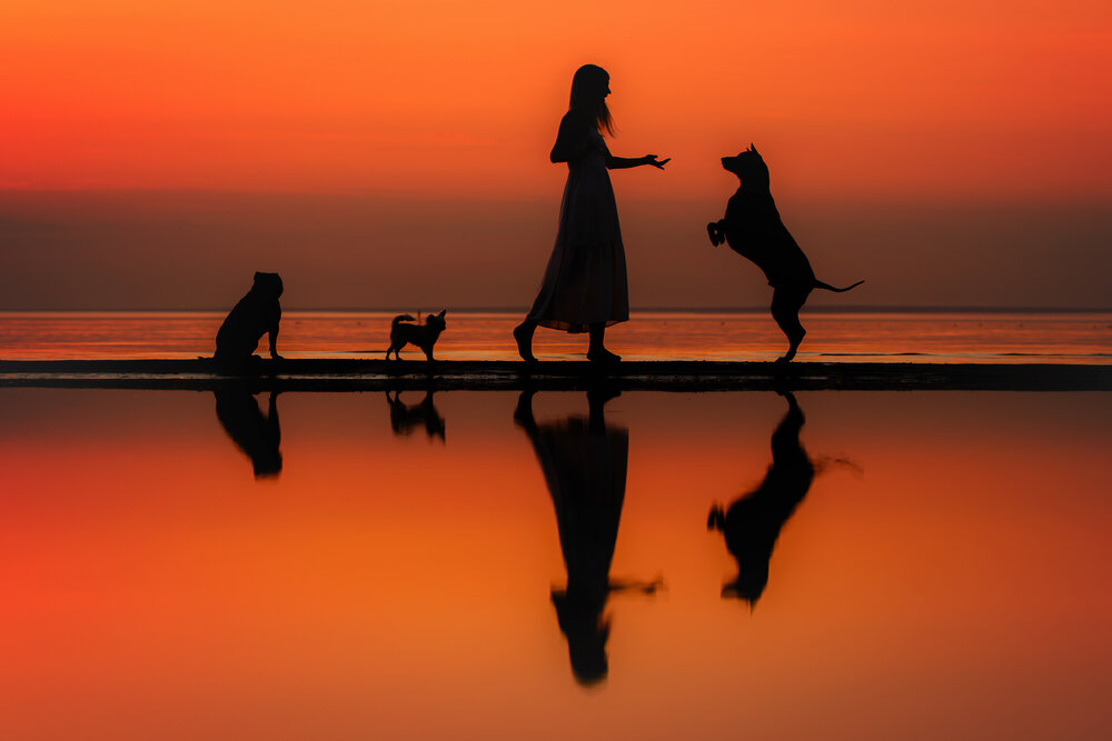 Photograph by Зубкова Юлия