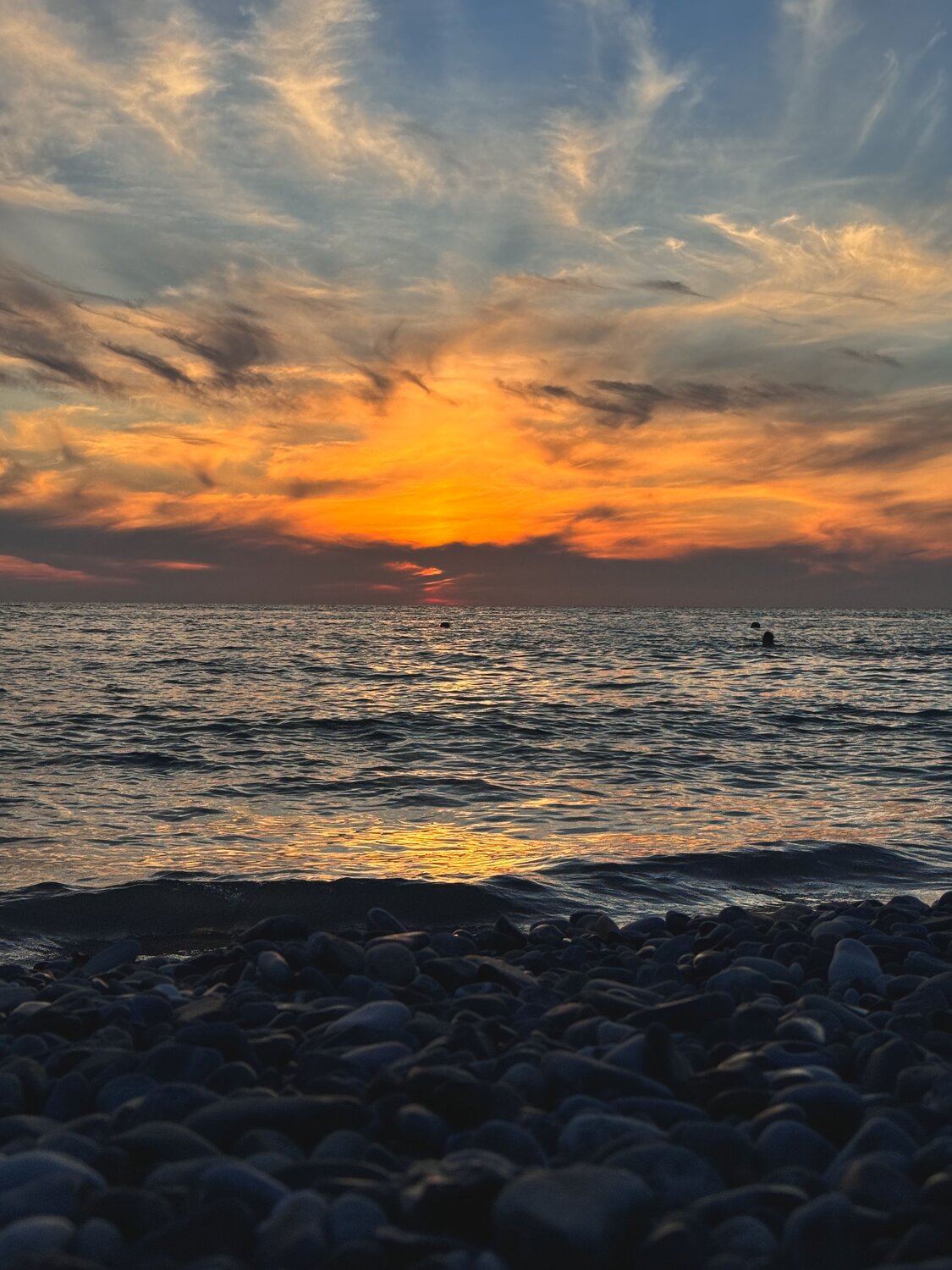 Photo #13923438