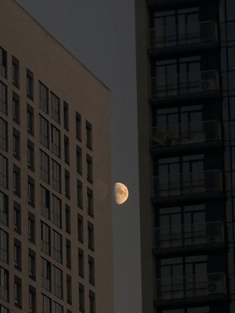 Photograph by Евгения Пржевальская