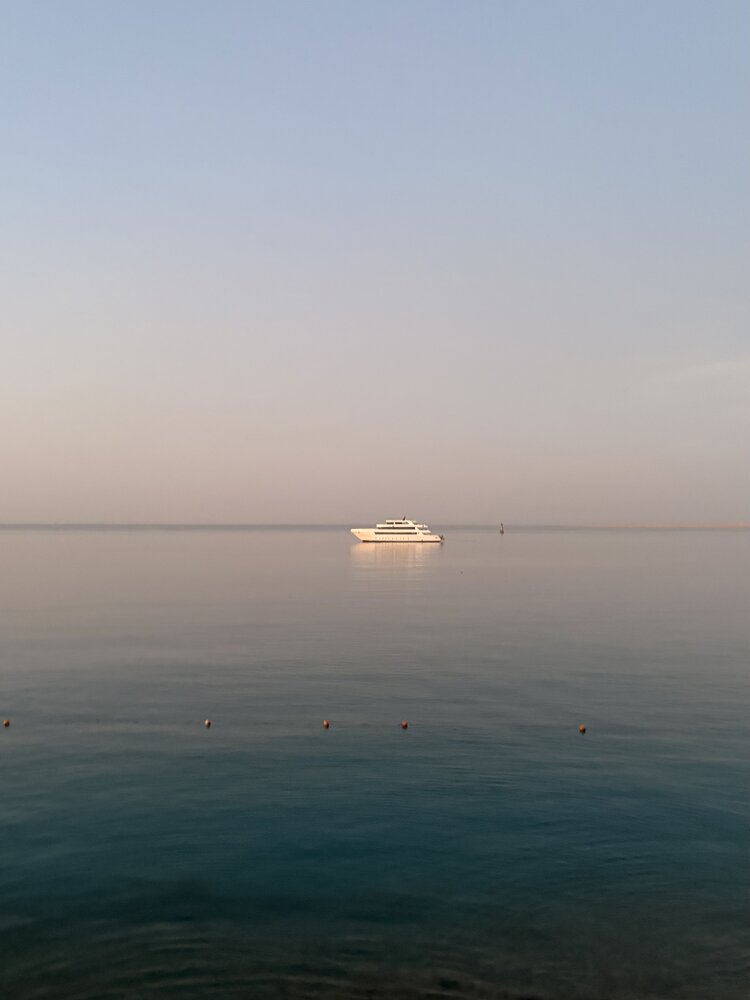 Photograph by Евгения Пржевальская