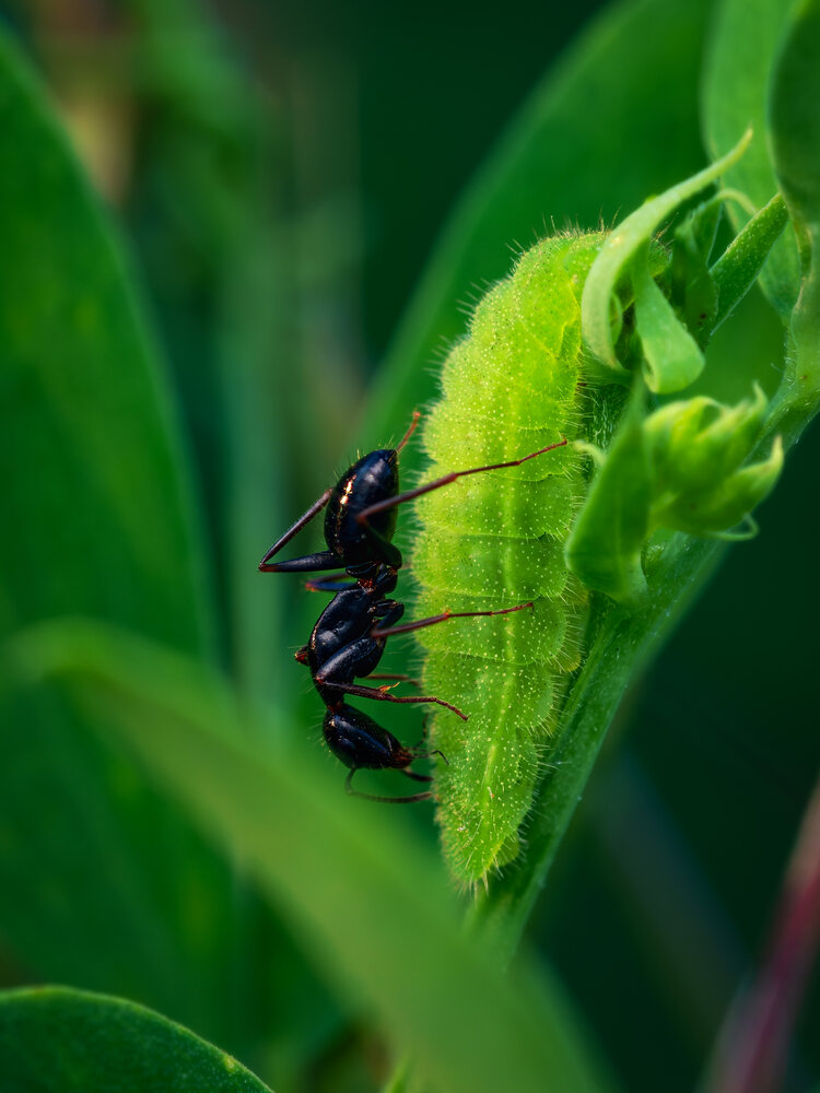 Photograph by Денис Лобов