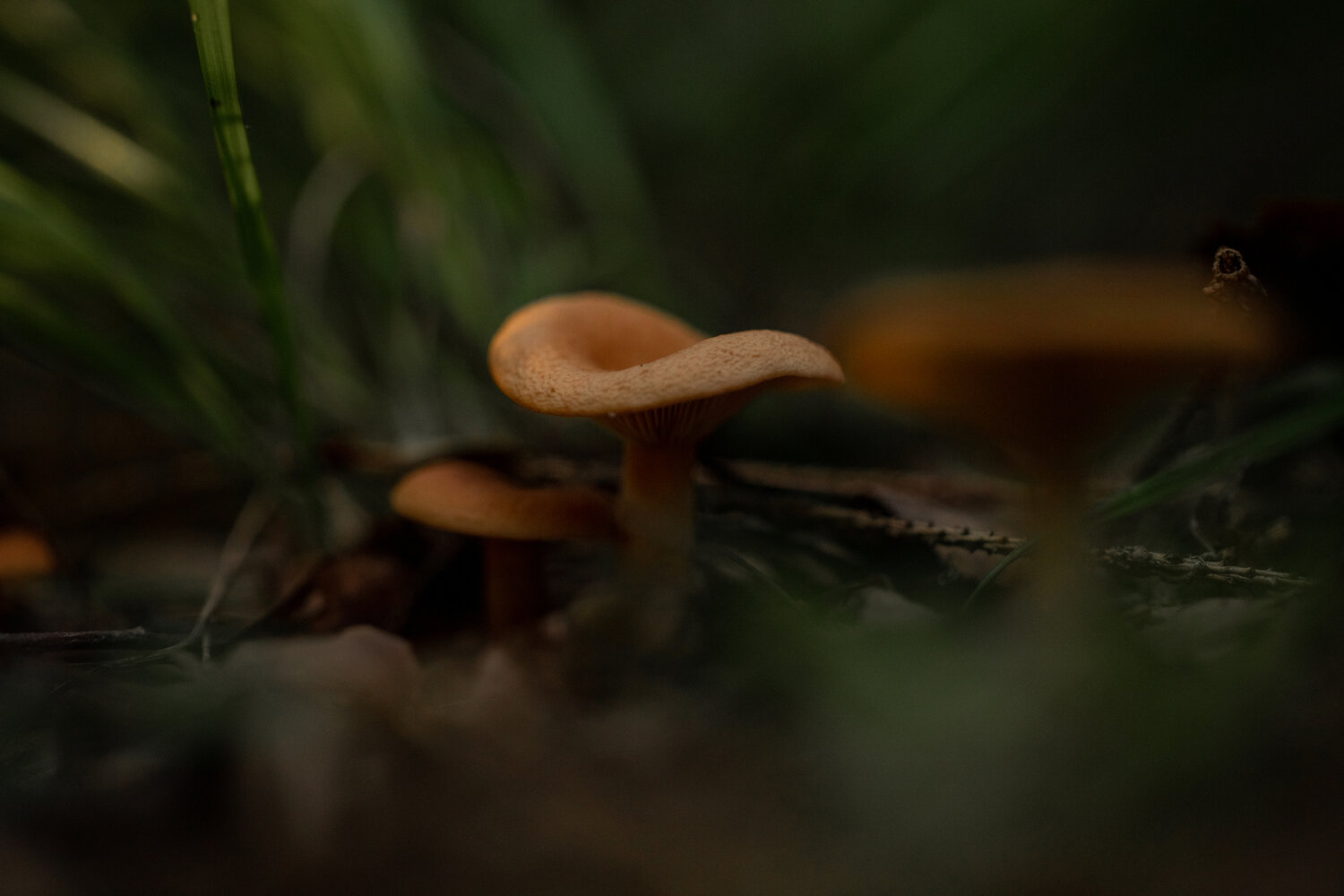 Photo #13923501