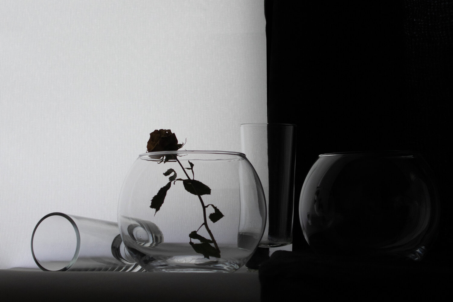 Photo #13923552