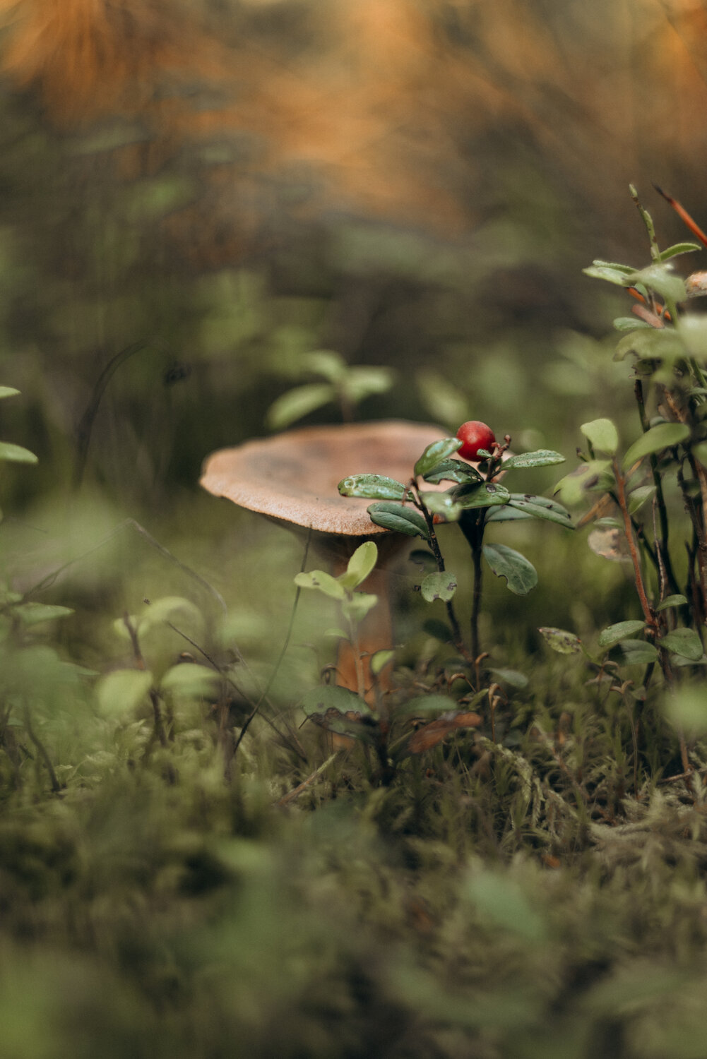Photo #13923565