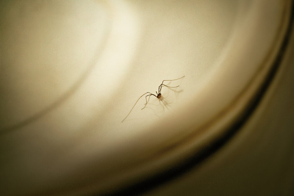 Photograph by Полина Маслова