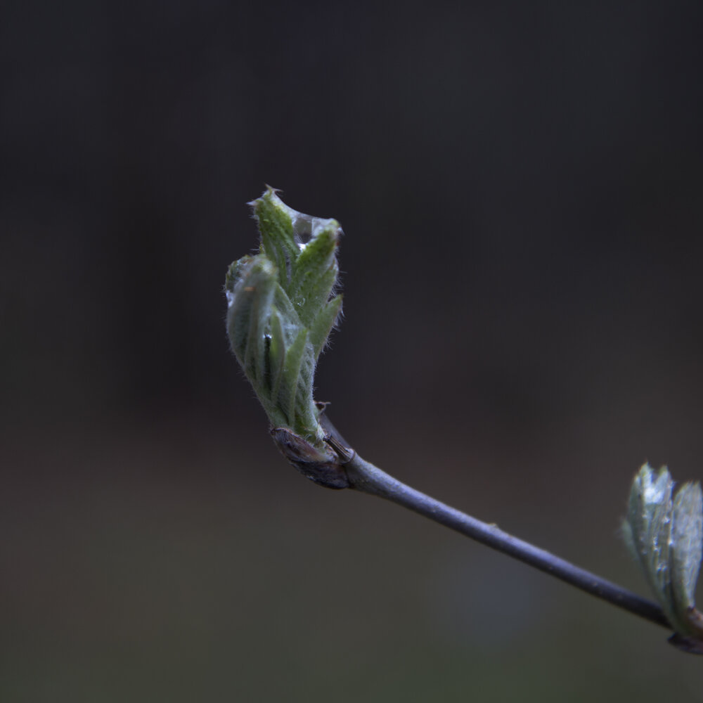 Photograph by Светлана Зайкова
