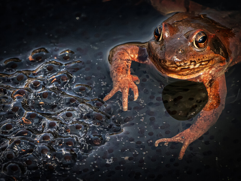 Photograph by Ольга Мусиенко