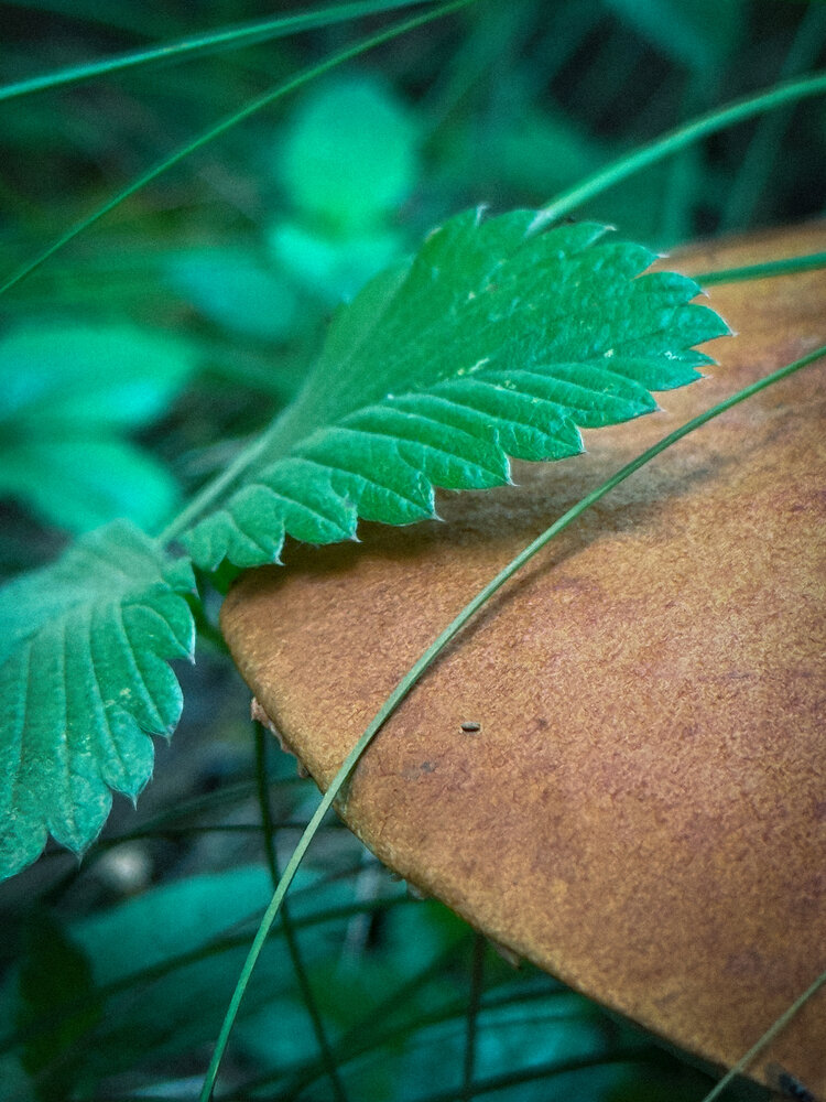 Photograph by Евгений Фролов