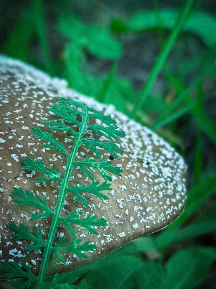 Photograph by Евгений Фролов