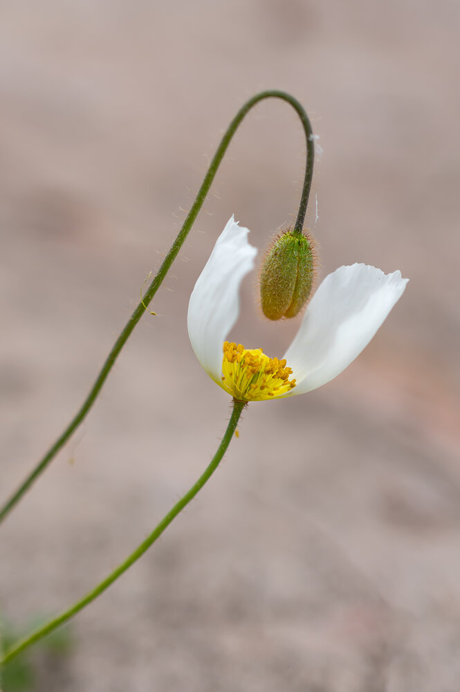 Photograph by Ольга Мусиенко