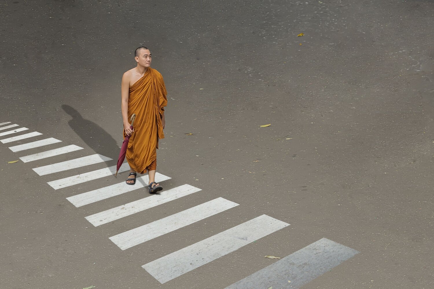 Photo #13923816