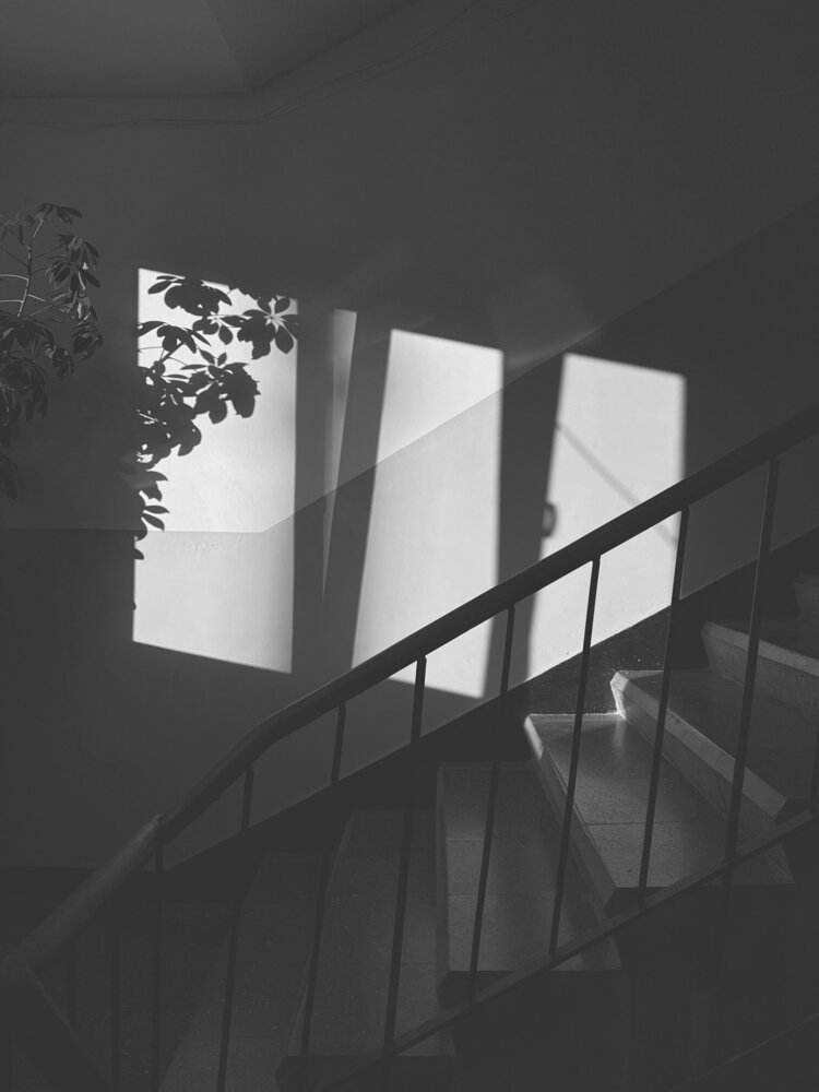 Photo #13923832