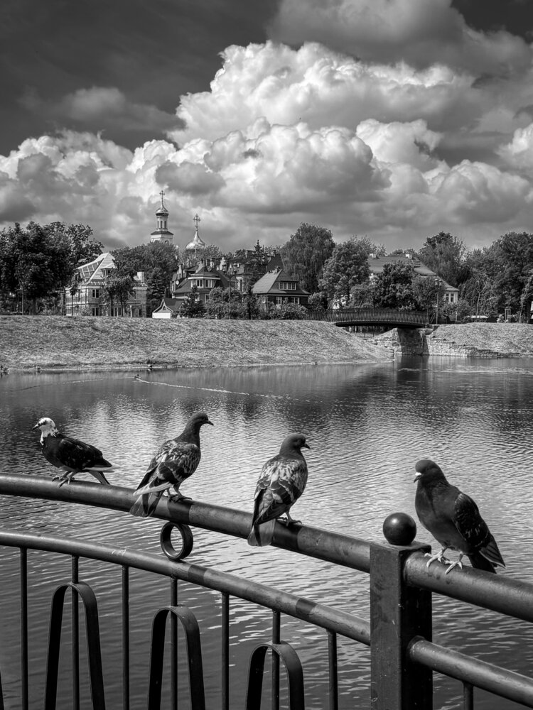 Photograph by Татьяна Смирнова