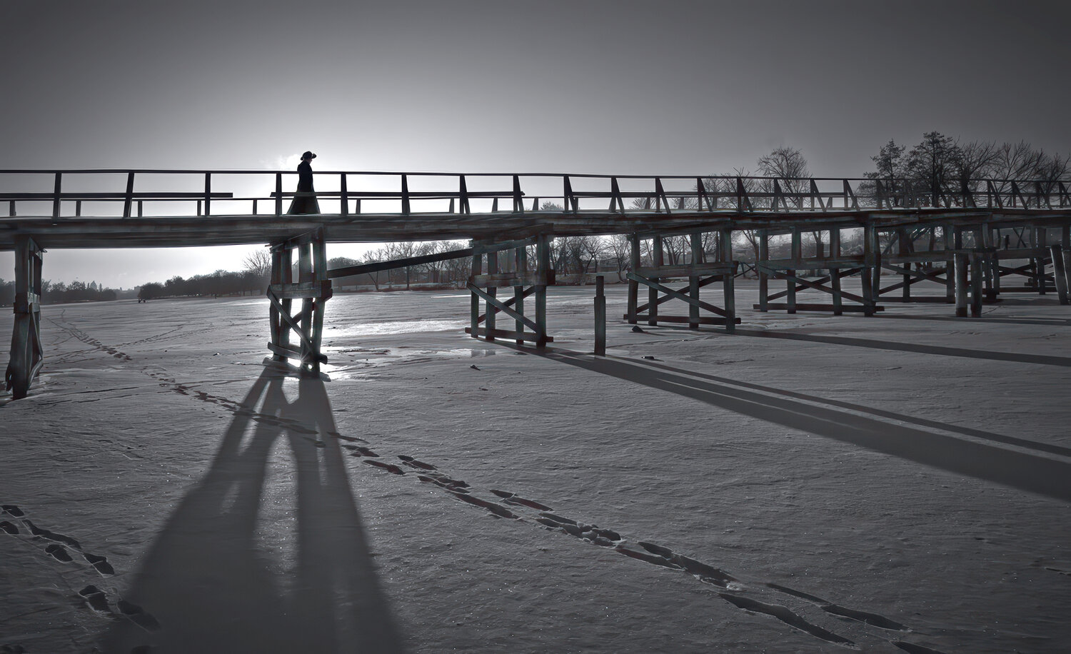 Photo #13923988