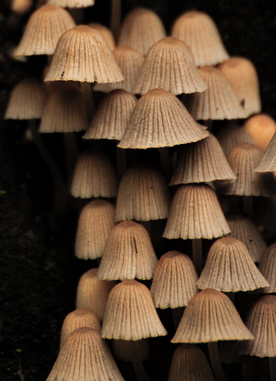 Photo #13923998