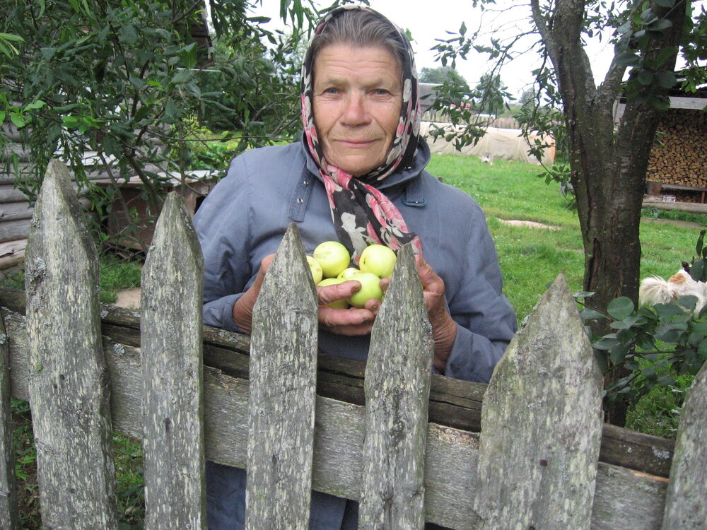 Photograph by Алла Бойко