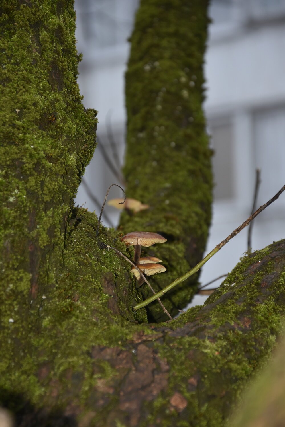 Photo #13924228