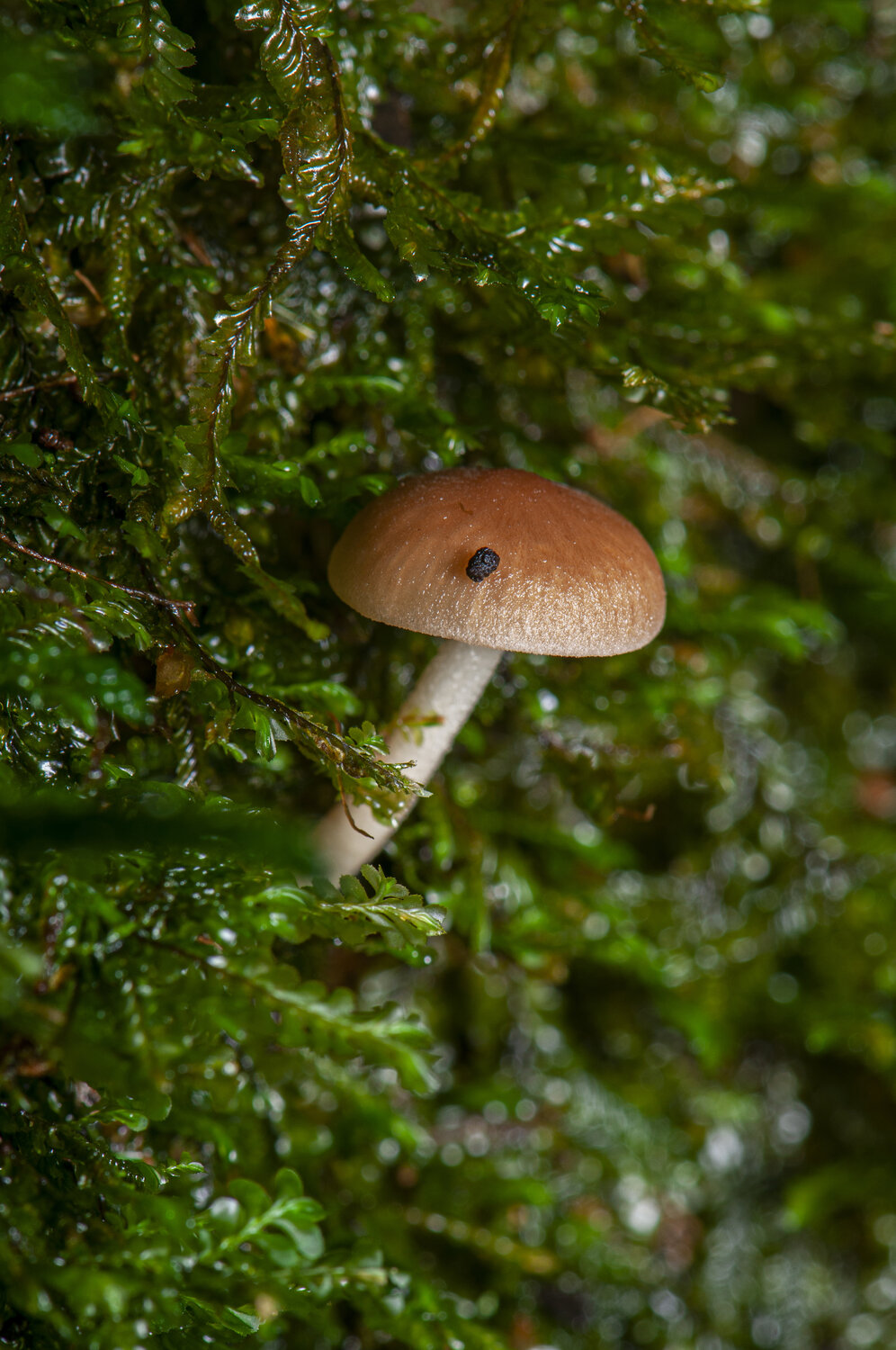 Photo #13924232