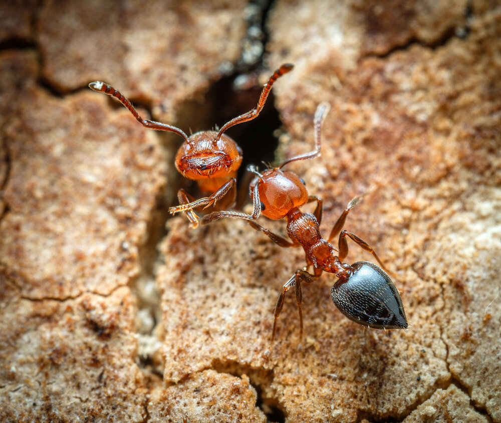 Photograph by Владимир Сковородников
