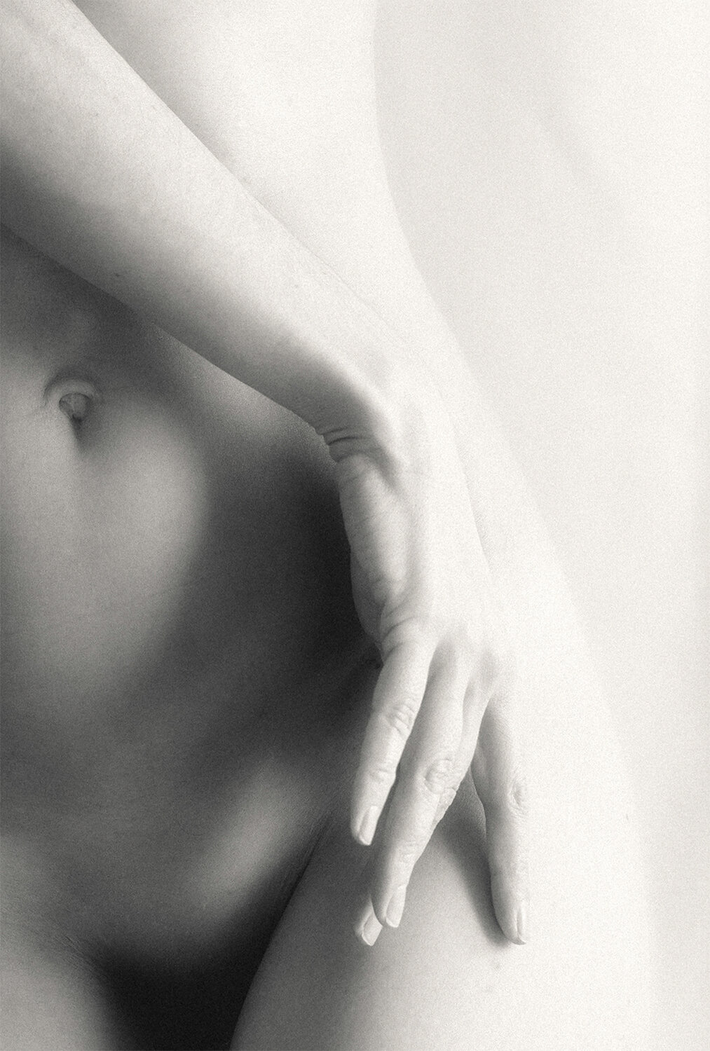Photo #13924283