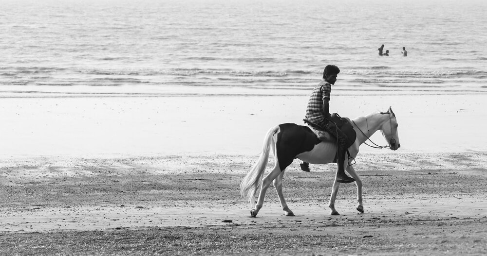 Photograph by Kaushik Ramakrishnan
