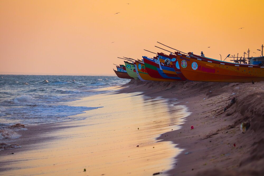 Photograph by Kaushik Ramakrishnan